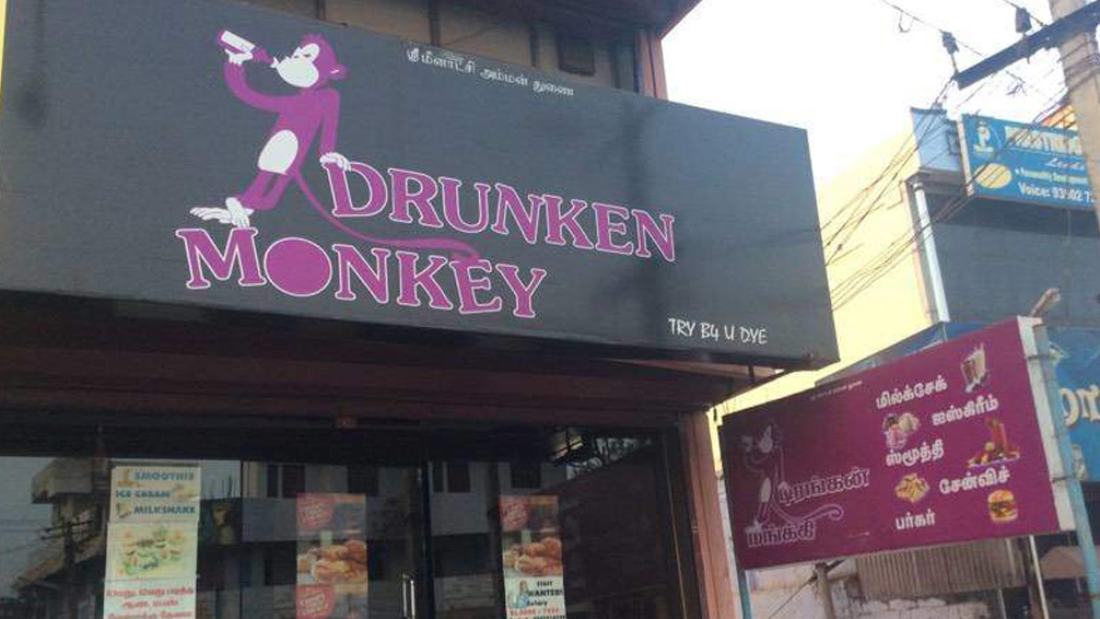 drunken-monkey